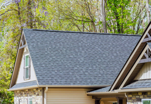 Best Roof Moss and Algae Removal  in Cliffside Park, NJ